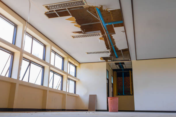 Best Mold removal after water damage  in Humboldt, TN