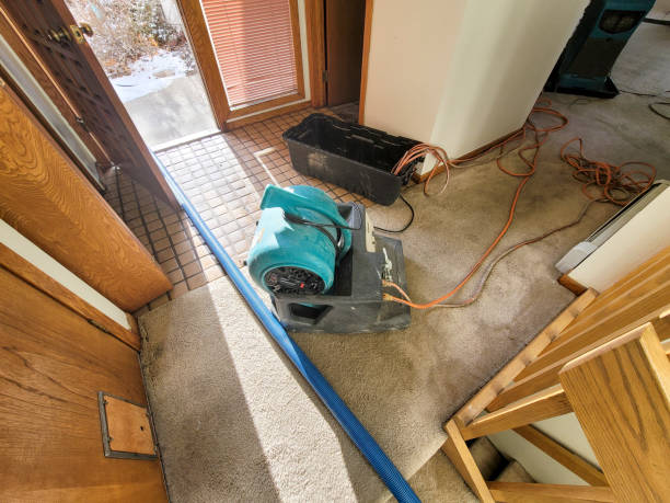  Humboldt, TN Water damage restoration Pros