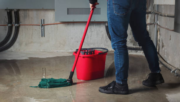 Best Residential water damage restoration  in Humboldt, TN