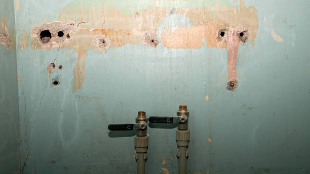 Best Water damage contractors near me  in Humboldt, TN