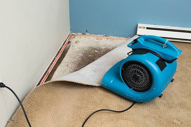 Best Water damage restoration company  in Humboldt, TN